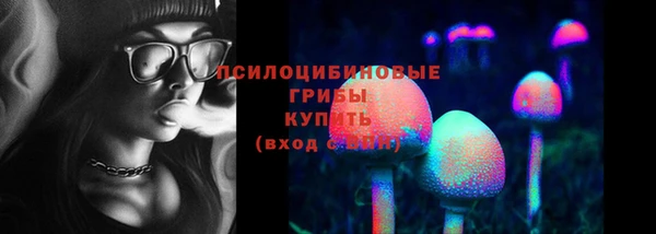 ECSTASY Абинск